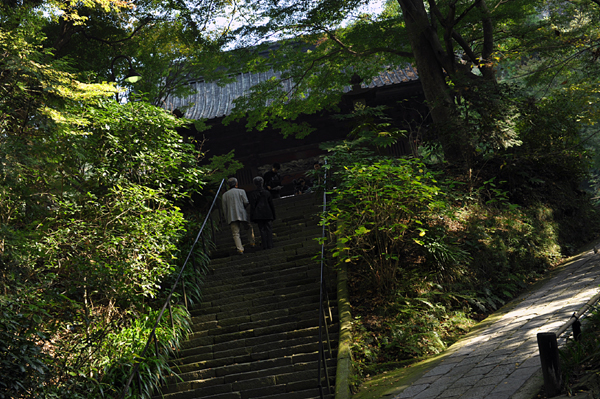 1110 kamakura1 DSC_7926.jpg